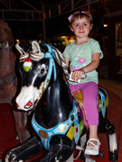 cavallino